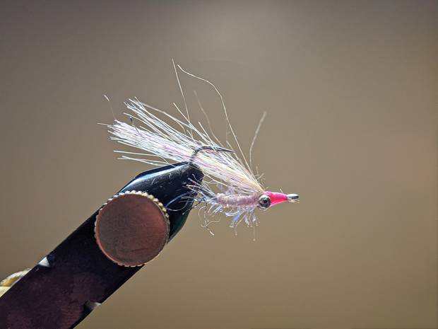 Photo: Chris Hunt gotcha fly