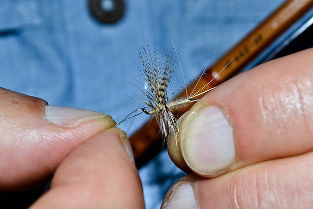 The author with a freshly tied Grey Fox (photo: Cheryl Ostrow).