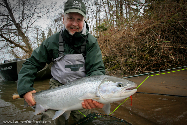 Winter Steelhead