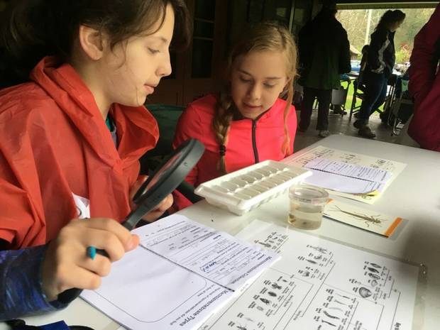 STREAM girls program