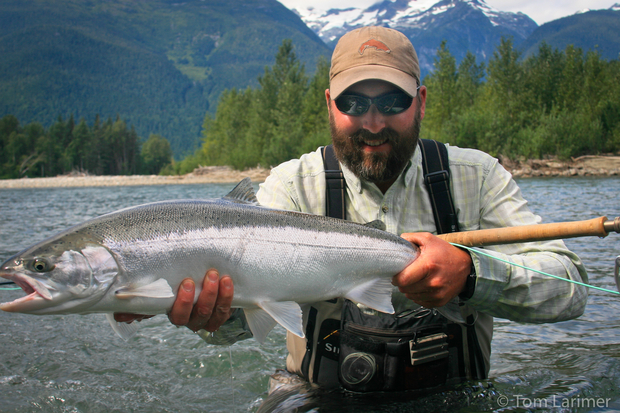 Tom Larimer Steelhead
