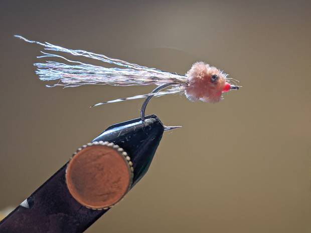 Photo: Chris Hunt pink puff fly