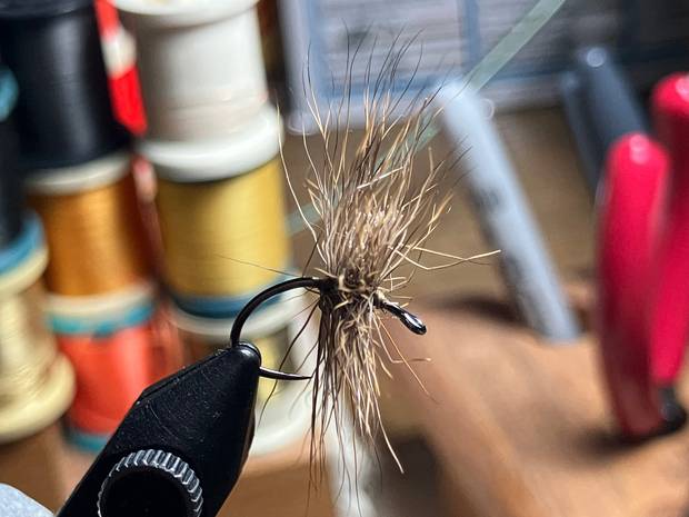 hair spider fly straight from vise