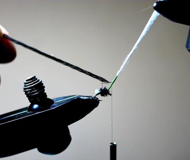 The Dryemerger Fly