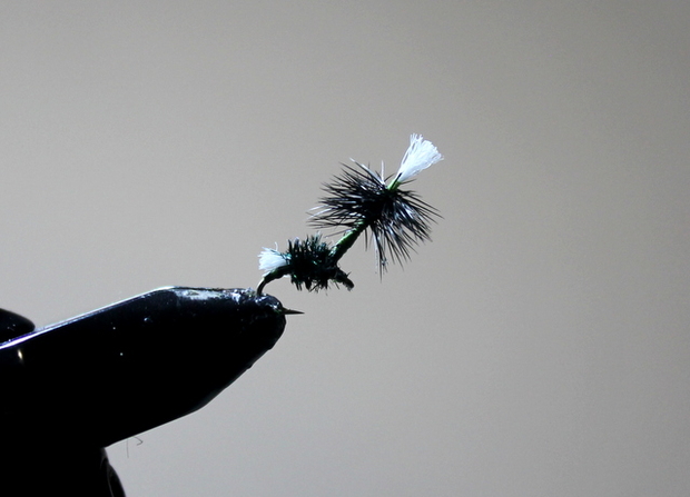 The Dryemerger Fly