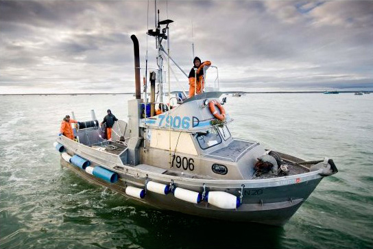 A fishing vessel in Bristol Bay Alaska.