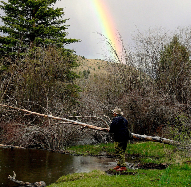 Fly Fishing Beaver Pond