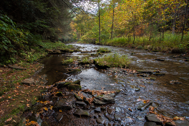 Cedar Run (photo: Chad Shmukler). Cedar Run