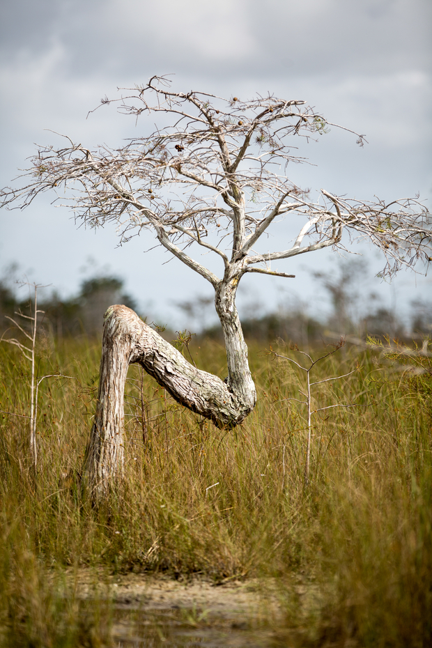 Everglades National Park