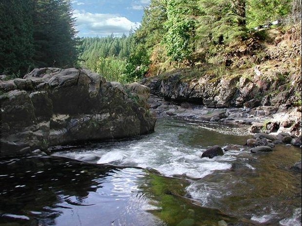 The East Fork of the Lewis River in Washington (photo: Stephanie Brock).