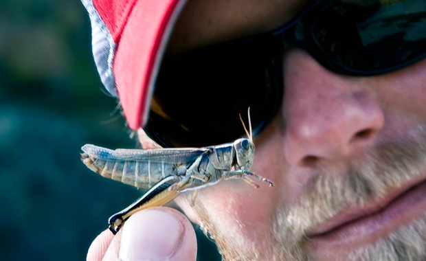 Grasshopper Fly Fishing