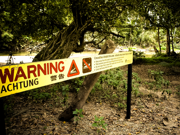 Crocodile Warning Sign Australia