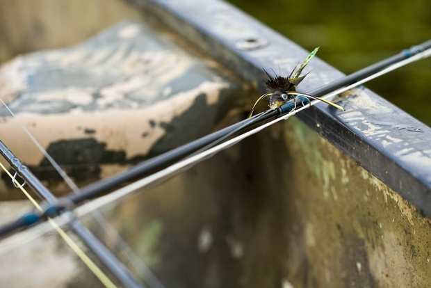 Photo: Chad Shmukler