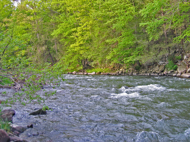 Historic Penns Creek, a tributary of the Susquehanna River. Penns Creek