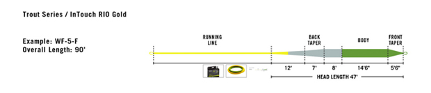 Line profile for the new RIO In Touch Gold. RIO In Touch Gold Fly Line Profile