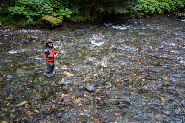 Chum Salmon on Tenkara Rod