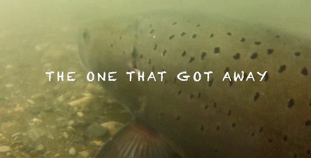 The One that Got Away