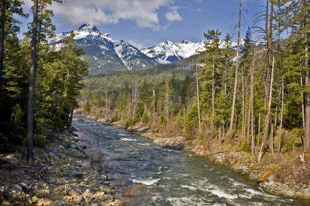 Trinity River in California
