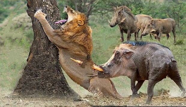 Photo: uncredited. wildlife hoax images ai