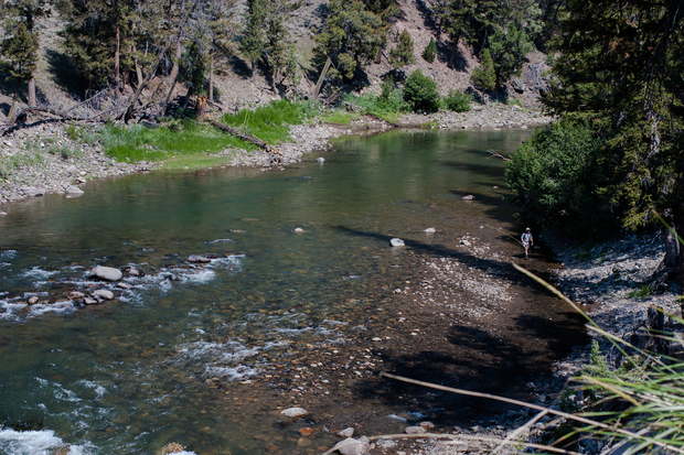 Yellowstone's Lamar River