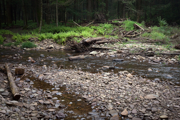 A native brook trout stream in Pennsylvania's natural gas country. A native brook trout stream in Pennsylvania's natural gas country.