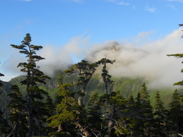 Cloud covered peaks in the Tongass National Forest. Tongass national Forest