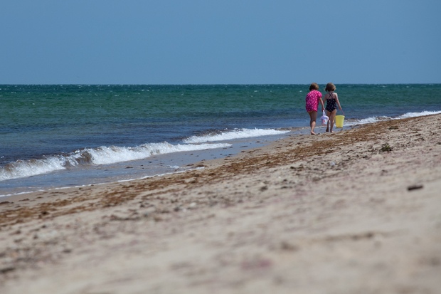 Pogue Beach Martha's Vineyard