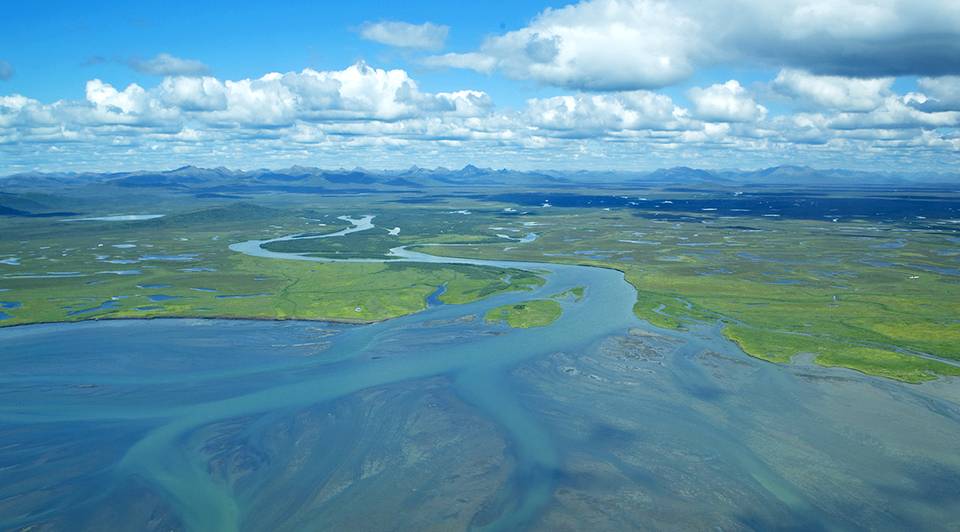 Kanektok River Mouth