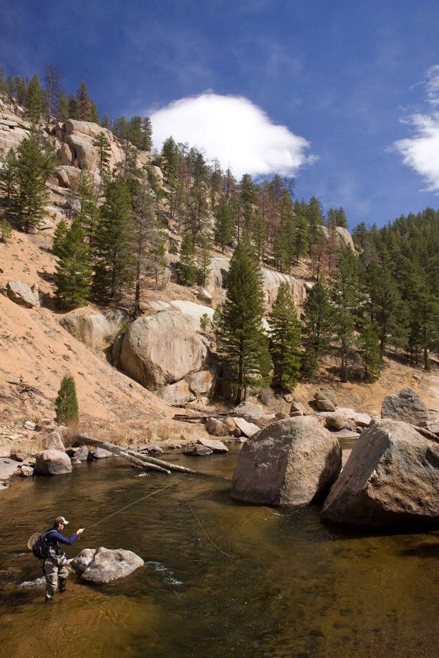 South Platte River - Cheeseman Canyon Run