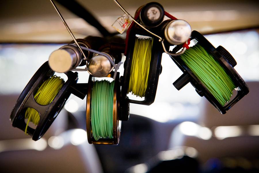 Green and Gold Reels - by Kyle Zempel