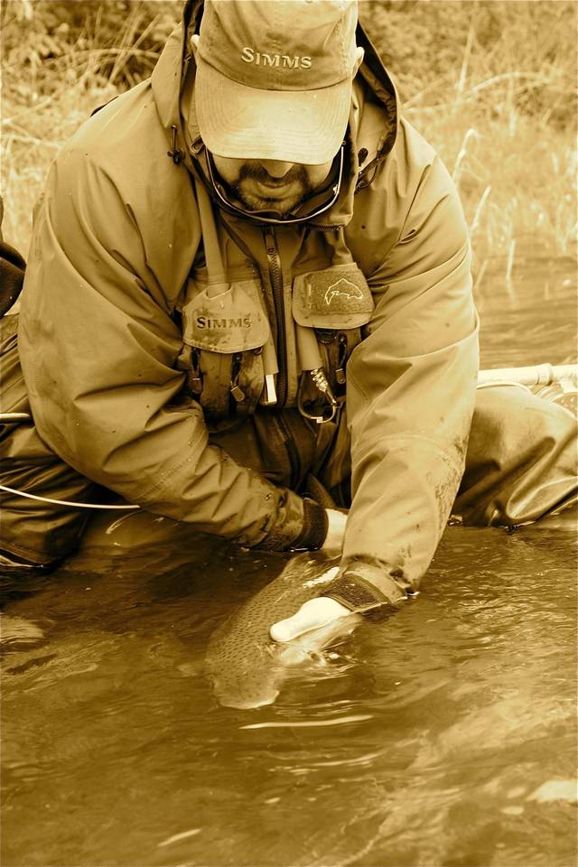 Oregon Winter Steelhead