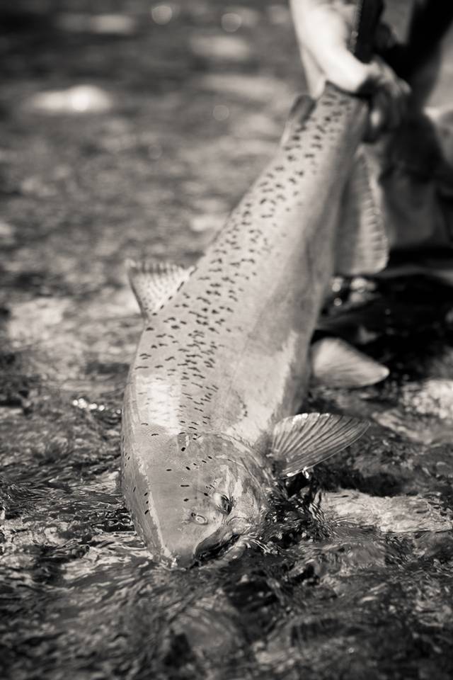 Fly Fishing Alaska on a Budget