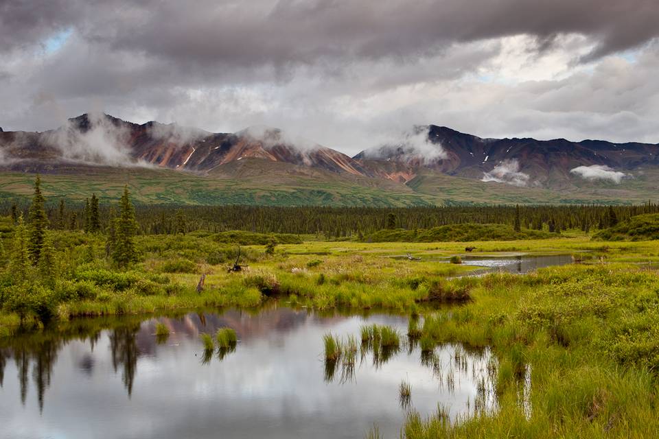 Fly Fishing Alaska on a Budget