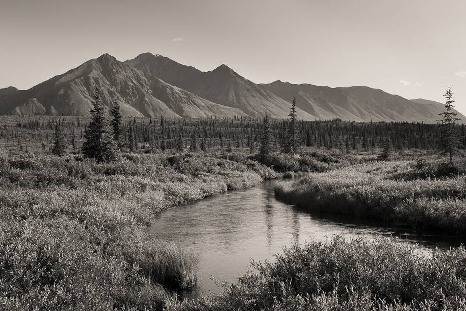 Fly Fishing Alaska on a Budget