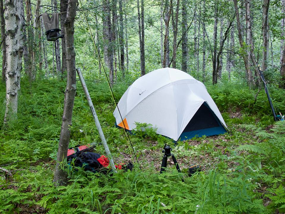 Fly Fishing Alaska on a Budget