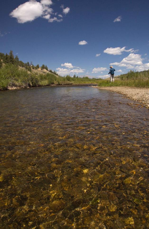 South Platte River - Tomahawk