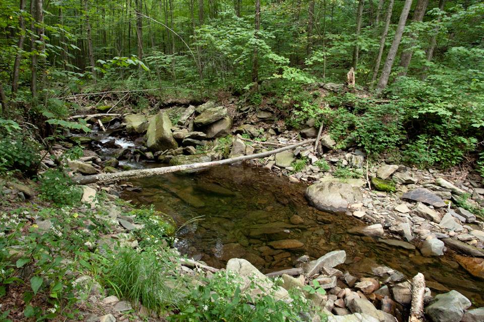 Freestone Stream 4