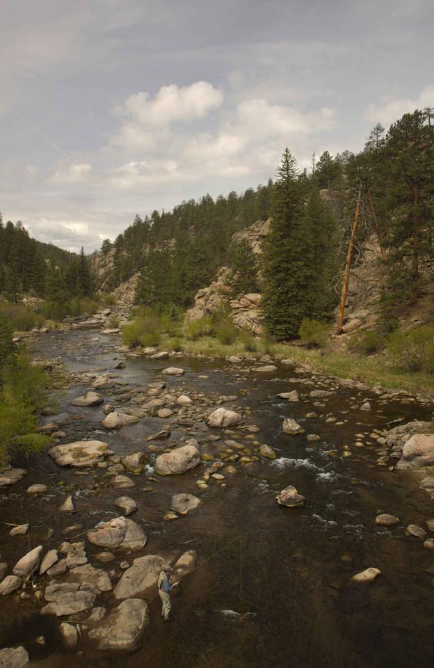 South Platte River - Eleven Mile Canyon