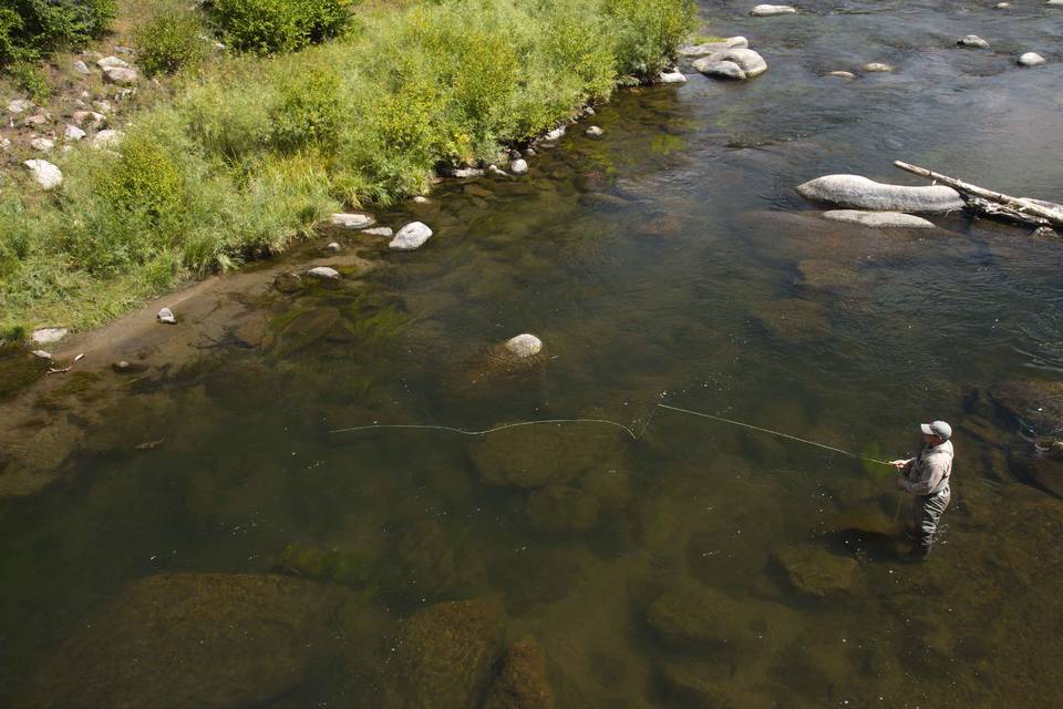 South Platte River - Eleven Mile Canyon Cutthroat