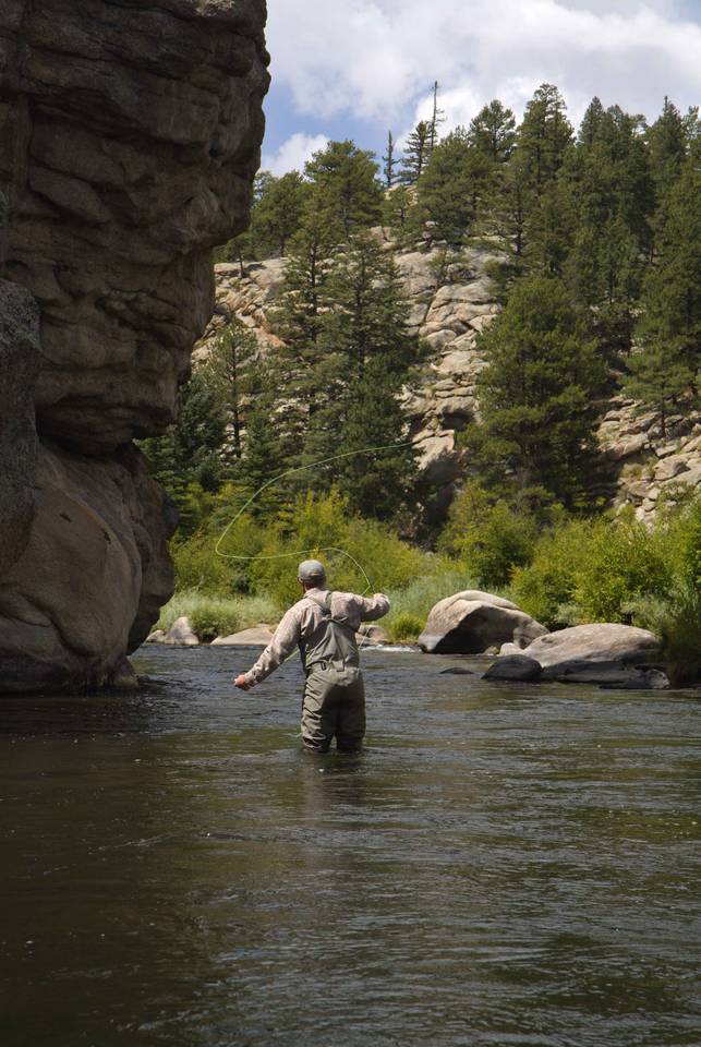 South Platte River - Eleven Mile Canyon Dry Fly Fishing