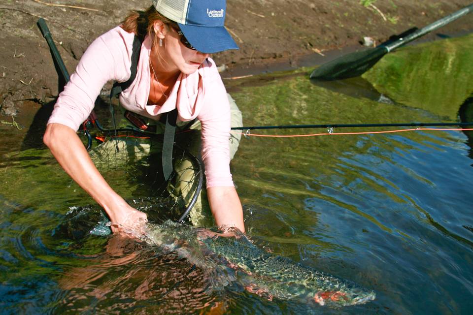 Releasing a Klickitat steelhead. Klickitat Steelhead