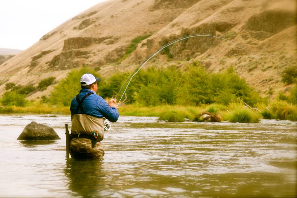 Summer Steelhead