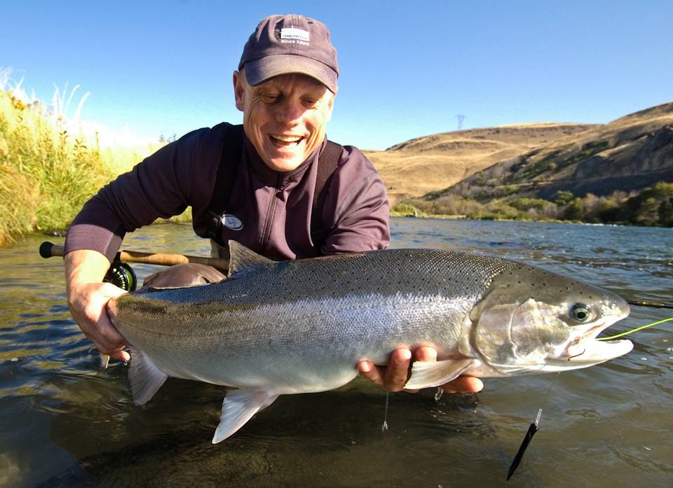 Larimer Steelhead 8