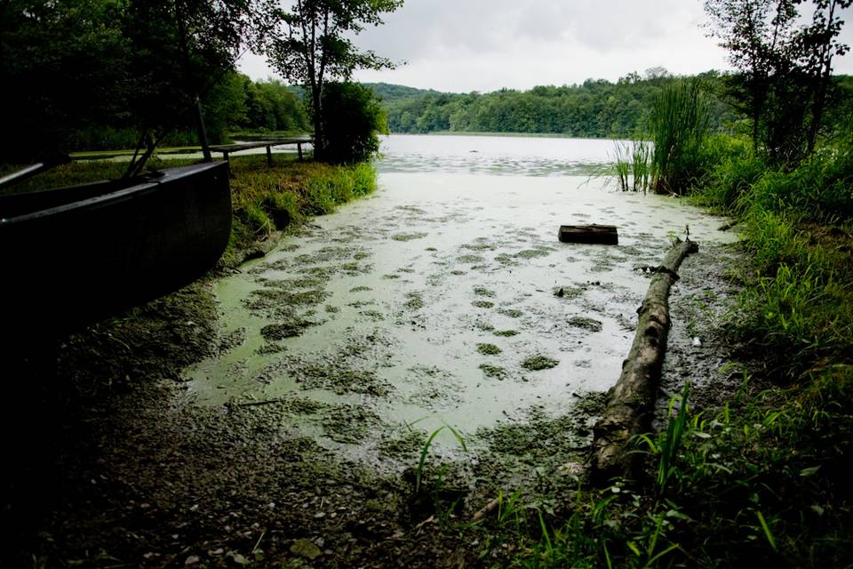 Stormy Bass Pond