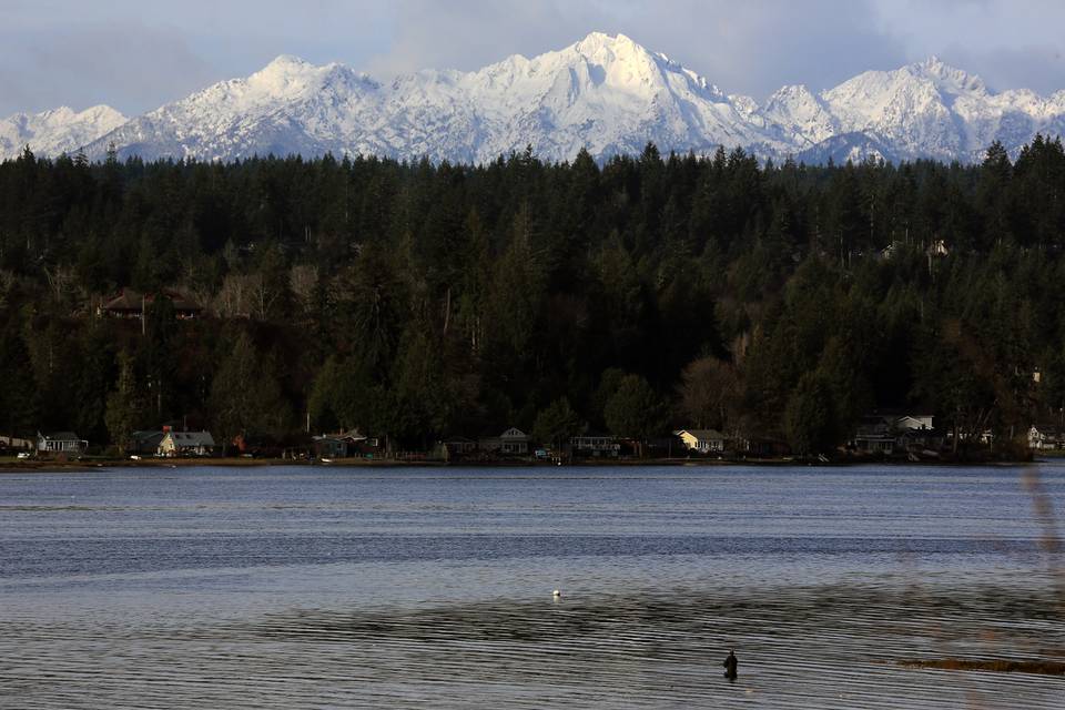 Fly Fishing Puget Sound