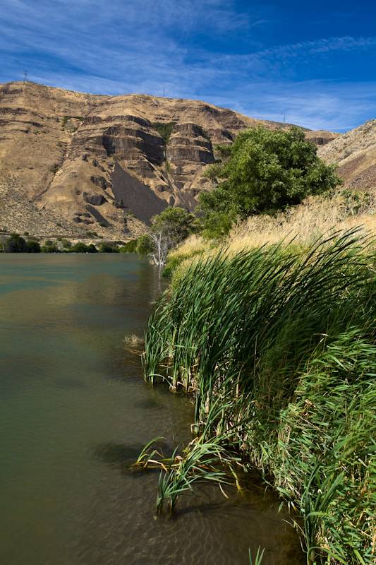 September sun gets high on the Deschutes. Deschutes River
