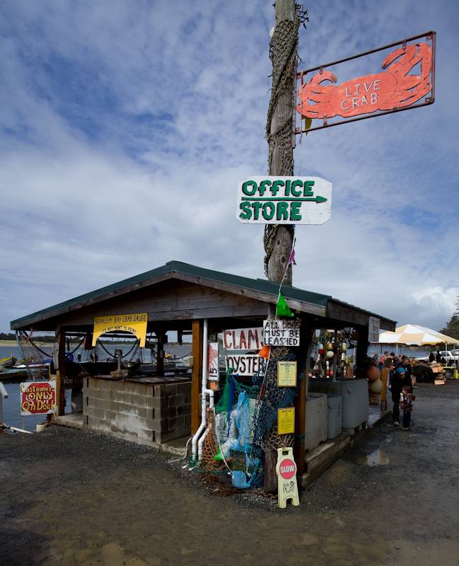 The Jetty Fishery