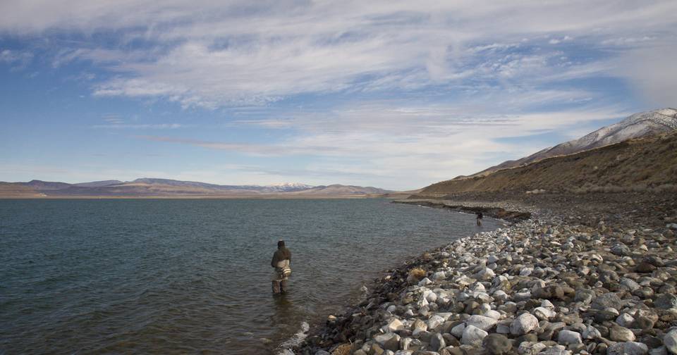 Chasing Pyramid Lake's Lahontans