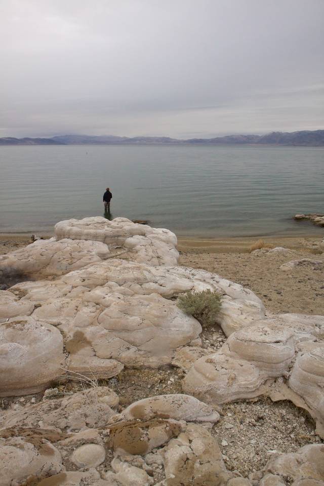 Chasing Pyramid Lake's Lahontans