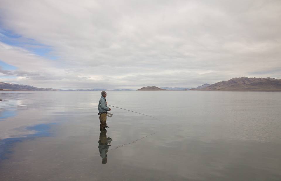 Chasing Pyramid Lake's Lahontans